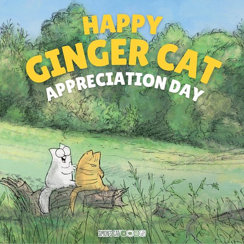 Time to appreciate the gingers...🧡 Have a great day, month and show us your orange cats.!