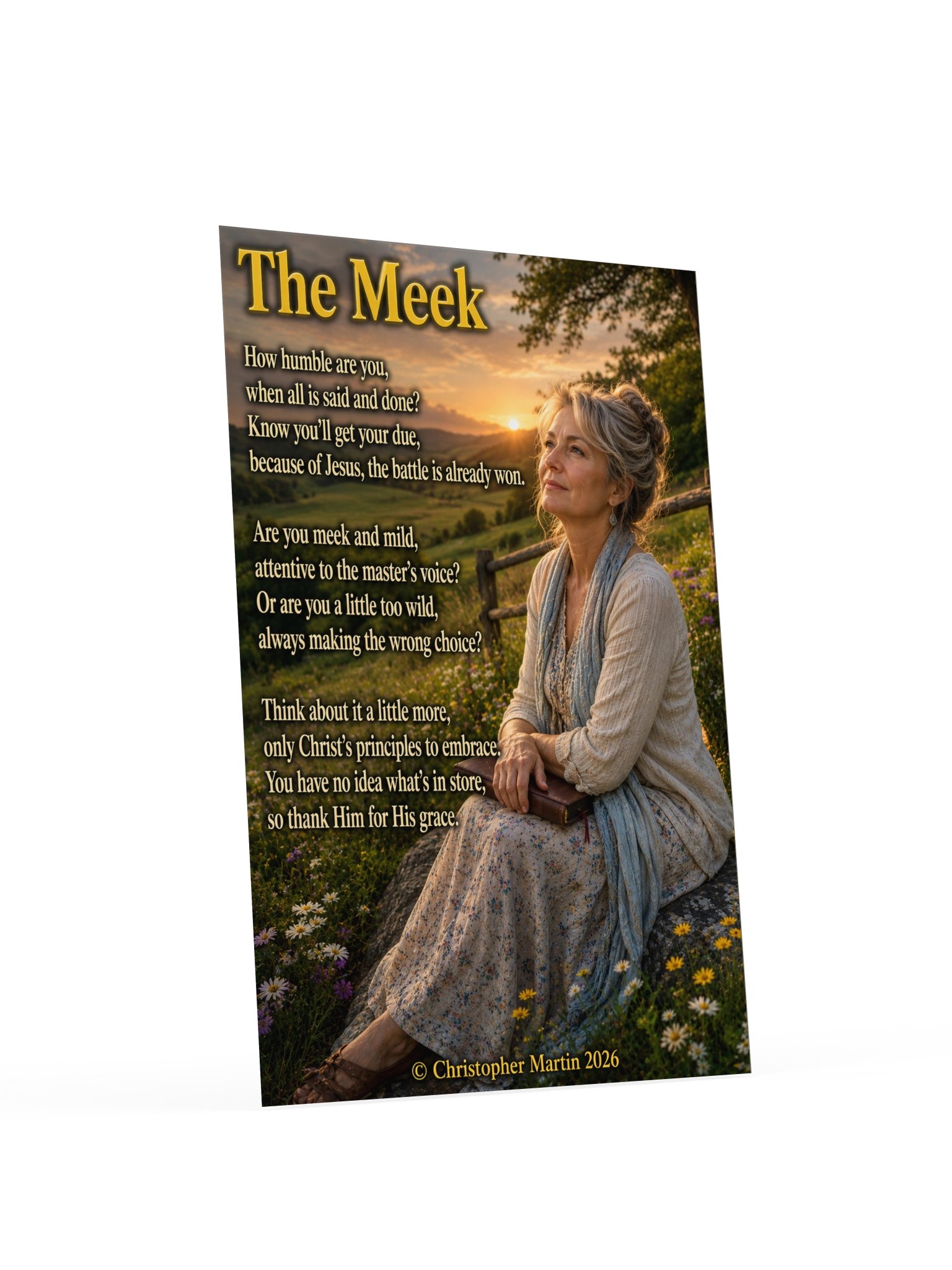 The meek product image (4)