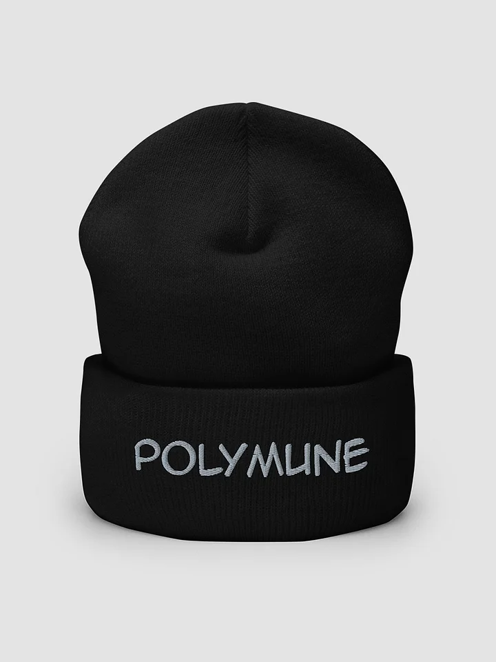 [Polymune] Cuffed Beanie - Yupoong 1501KC product image (2)