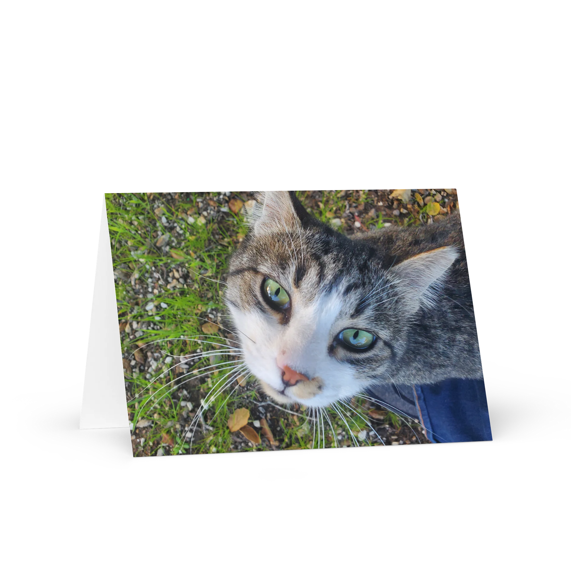 Banjo Says HELLO! product image (1)