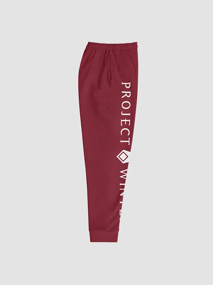 Project Winter Men's Joggers (Red) product image (2)