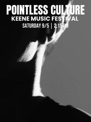 Find us playing in the Gallery Alley this Saturday in downtown Keene! #fyp #keene #newhampshire 