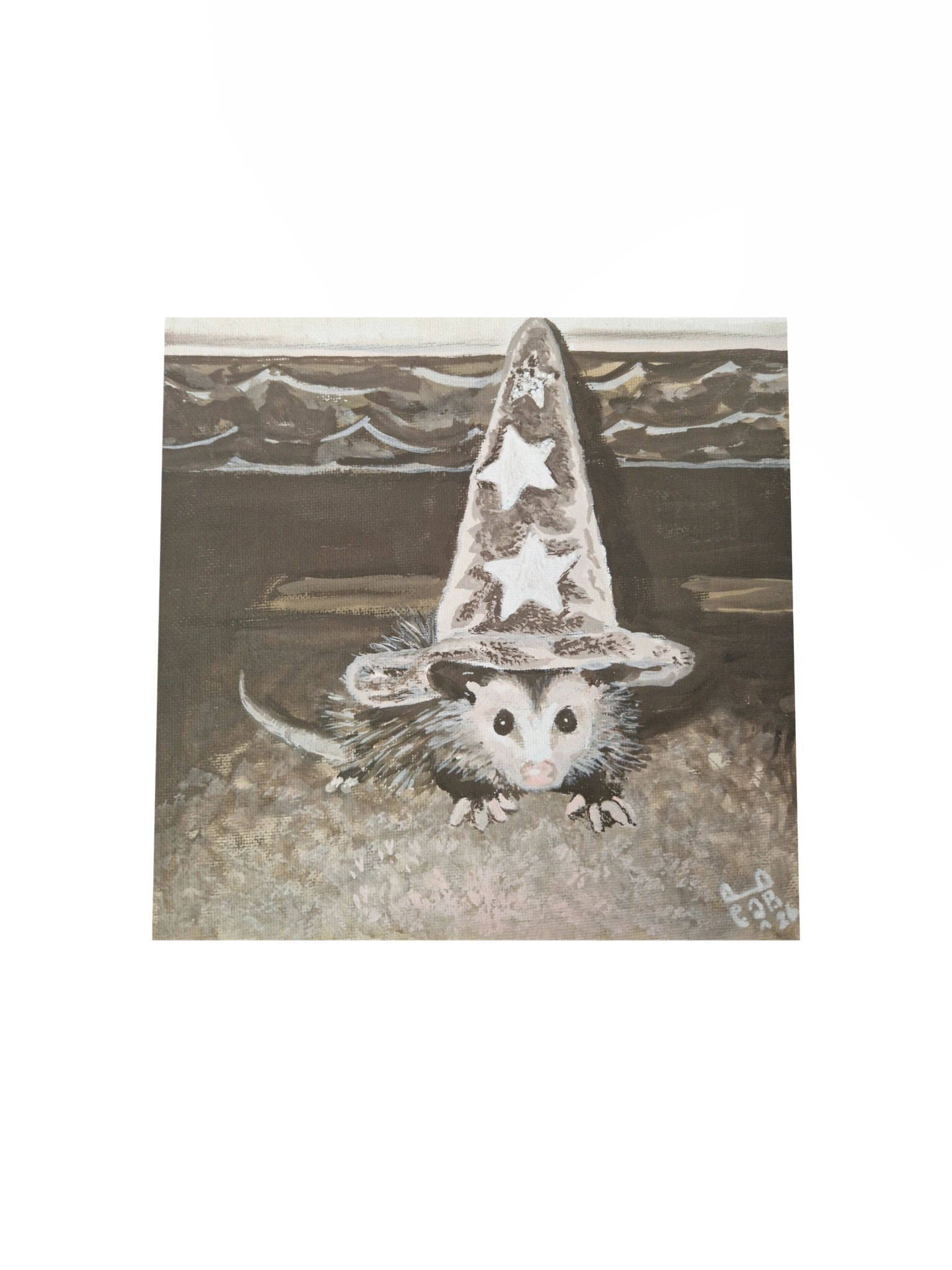 Hat possum print product image (18)