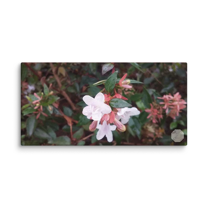 Mini - Canvas Fine Art product image (2)