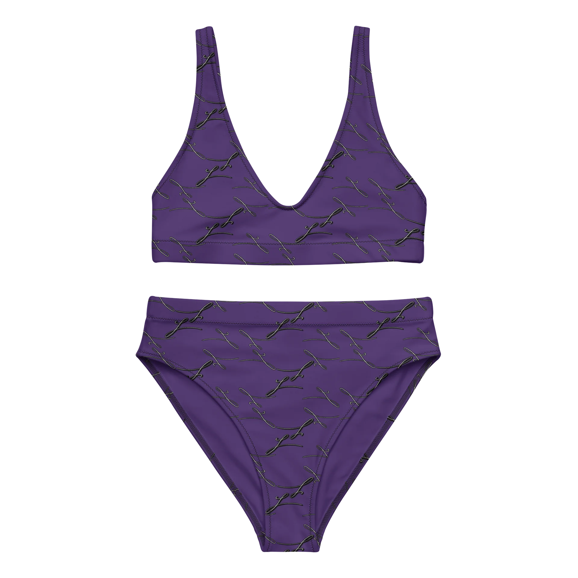 Purple Noir High-Waisted Bikini product image (2)
