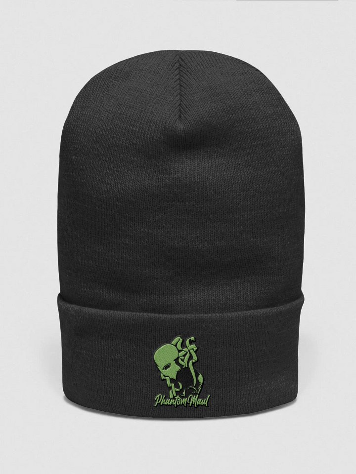 Kiwi Green Logo Beanie product image (1)