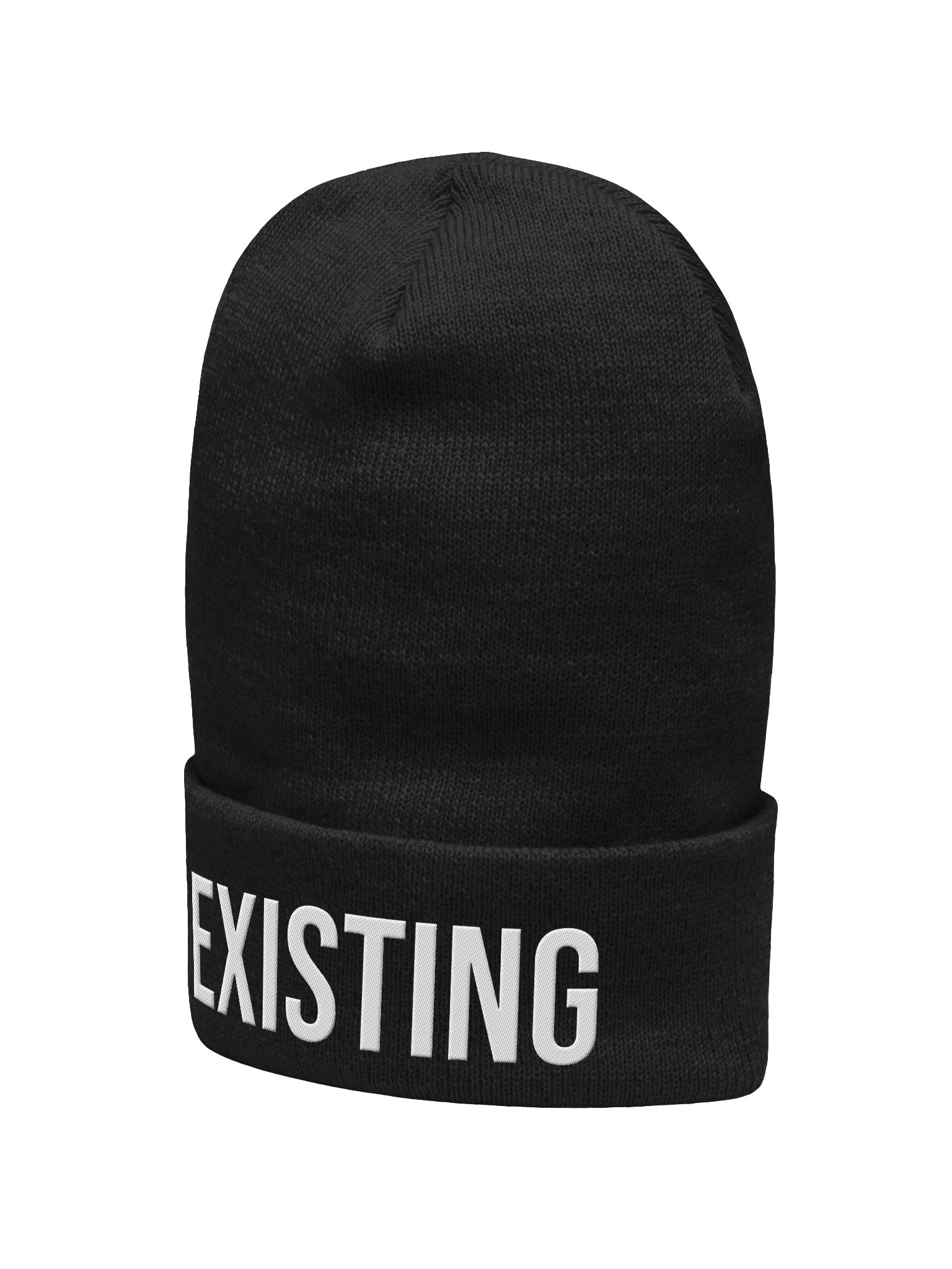 Existing Beanie product image (15)