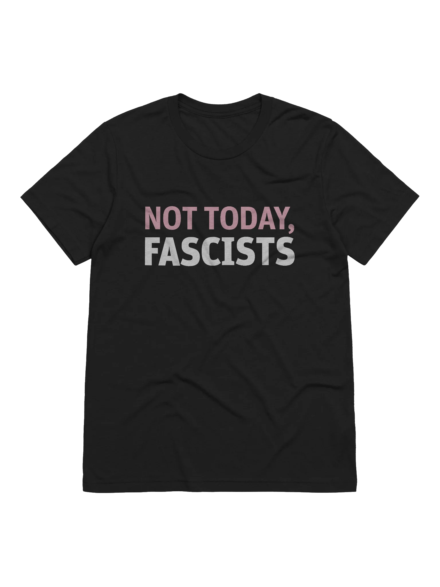 Not Today, Fascists Unisex T-Shirt product image (1)