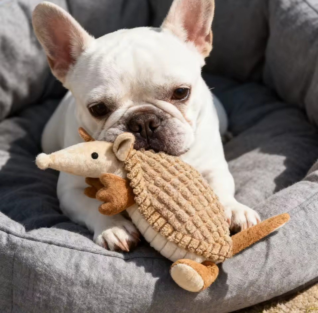Cute XL Armadillo Durable Dog Chew Toy product image (9)