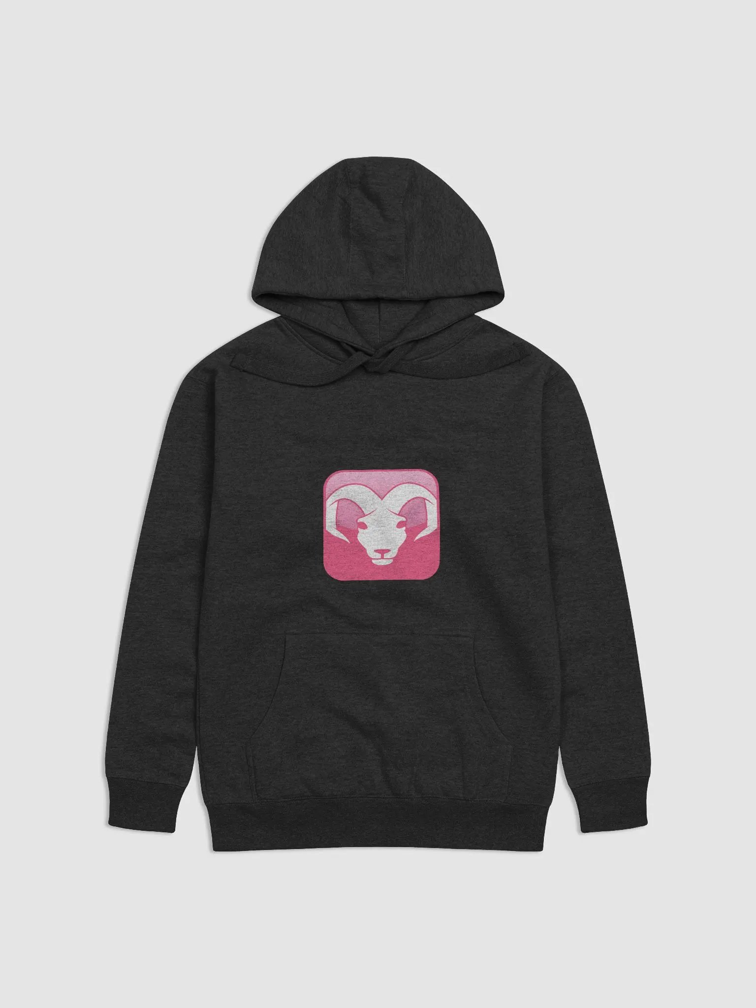 ARIES Hoodie product image (8)