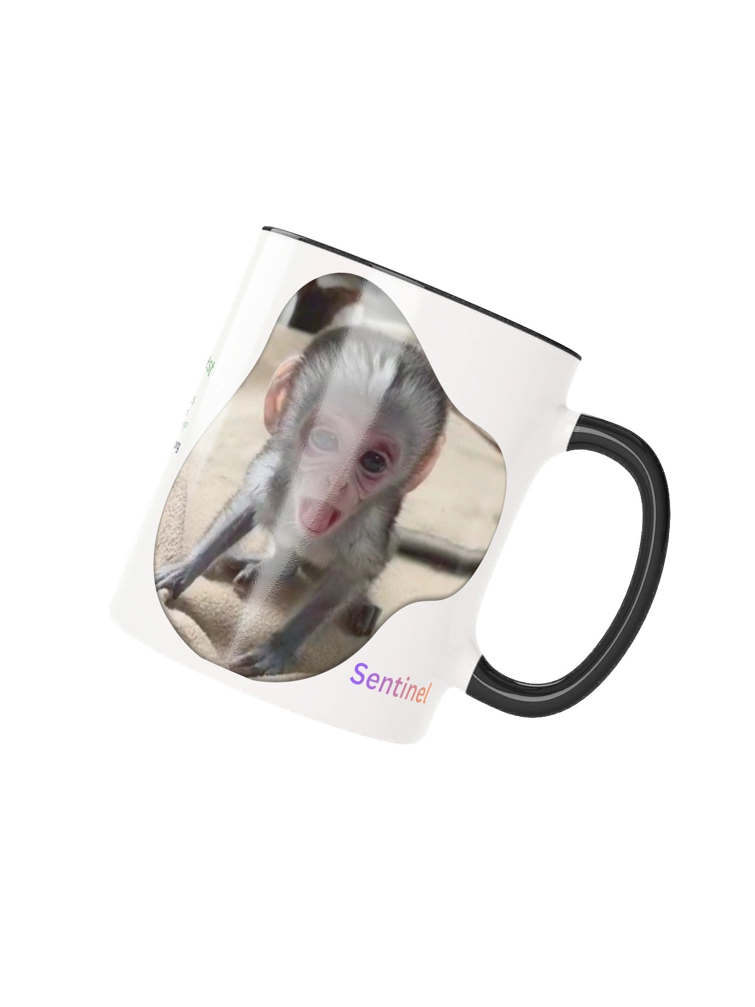 Sentinel mug product image (2)