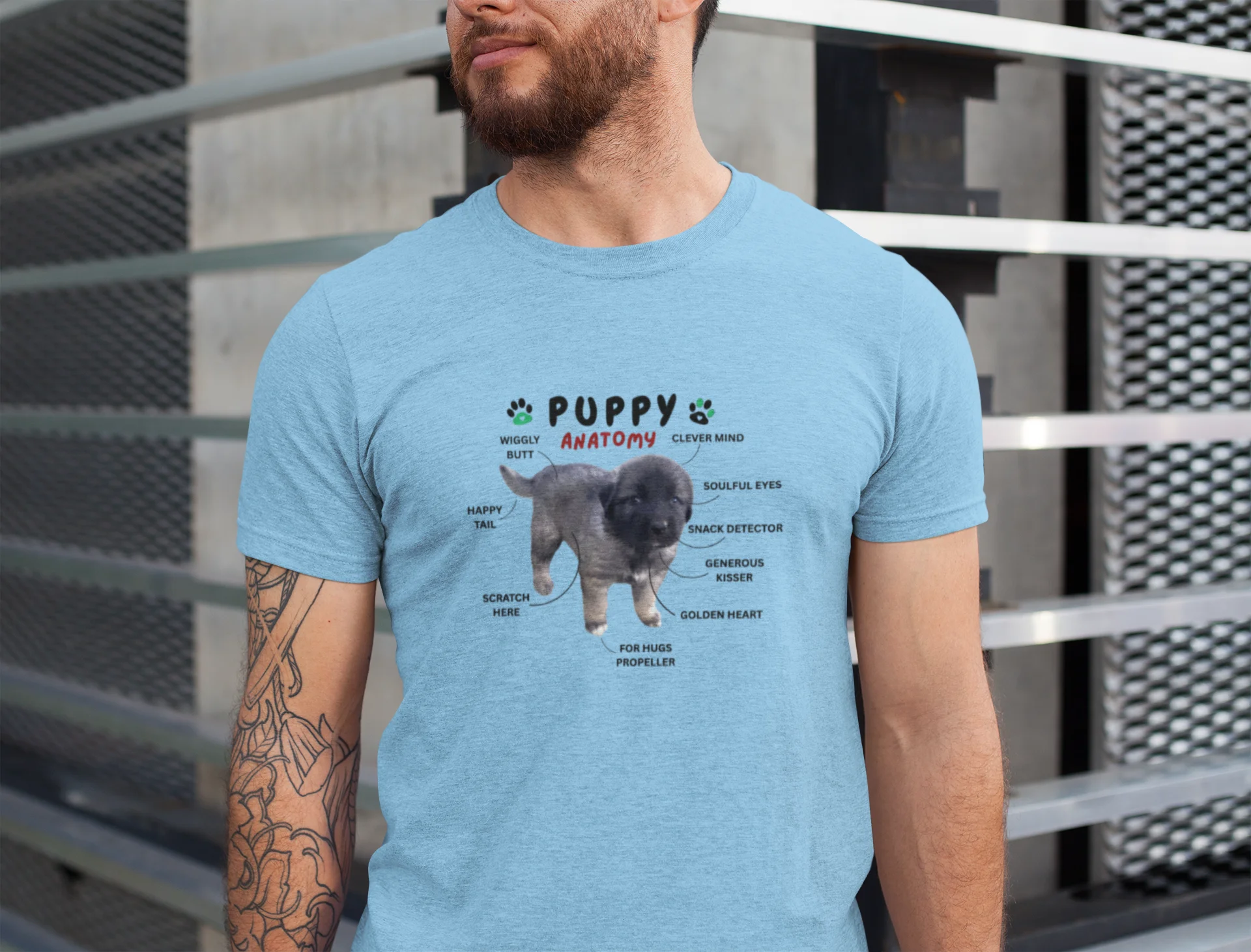 Puppy Anatomy T-Shirt product image (7)