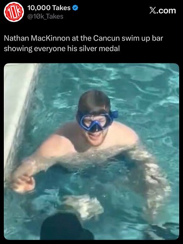 Down goes Scuba Steve and the Colorado Avalanche!...

#coloradoavalanche #vegasgoldenknights #nhlmemes