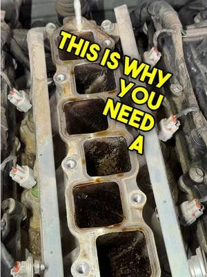 This is what your intake looks like without a catch can… 😬 All that buildup in the runners? That’s blow-by making its way back through the system over time. Easy to ignore until you actually see it like this 👀 Might be time to rethink running without one… — #catchcan #enginebuild #carmaintenance #projectcar #350z