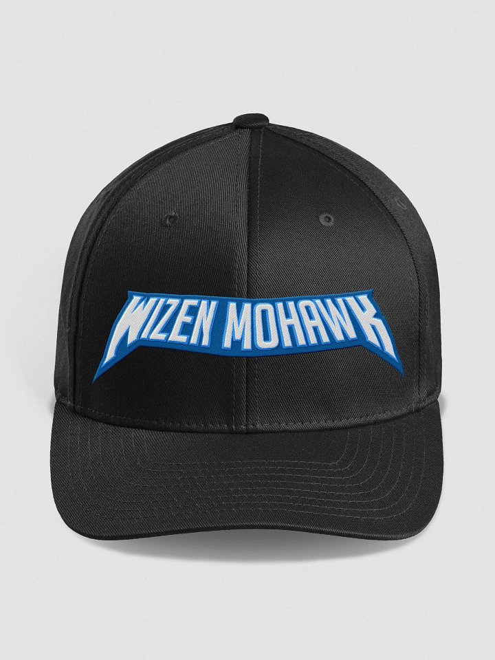 Fitted Hat (Black) product image (1)
