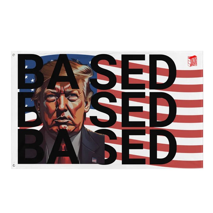 BASED American Flag Mugshot ~Flag~ product image (1)