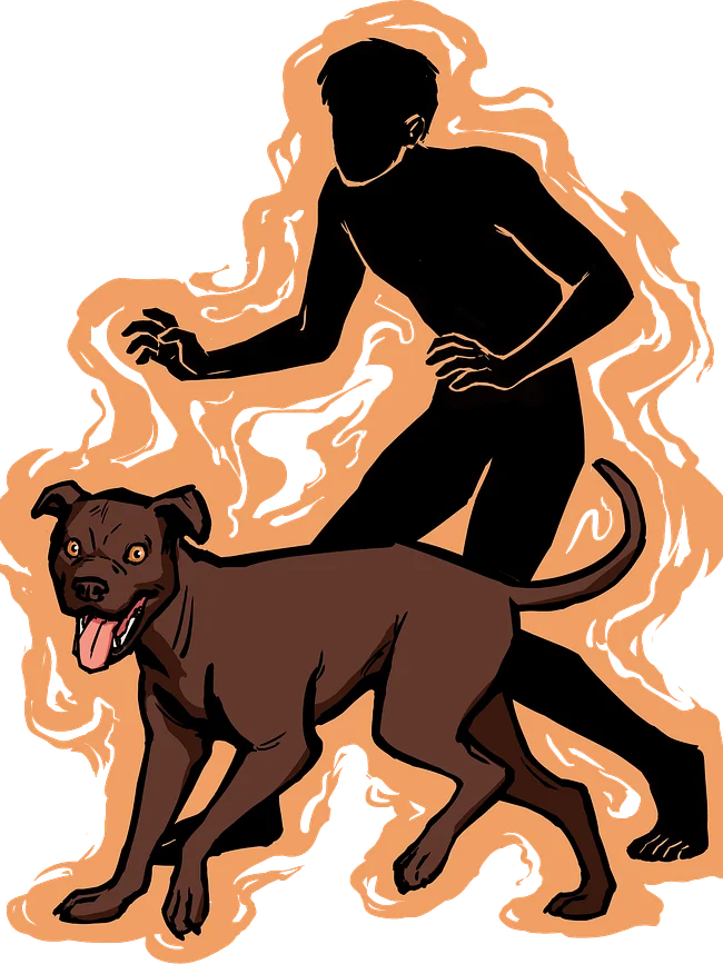 We're Wolves