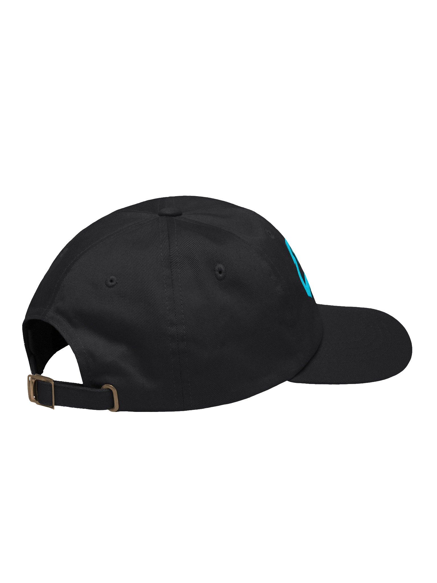 GENZEST Logo Cap product image (5)