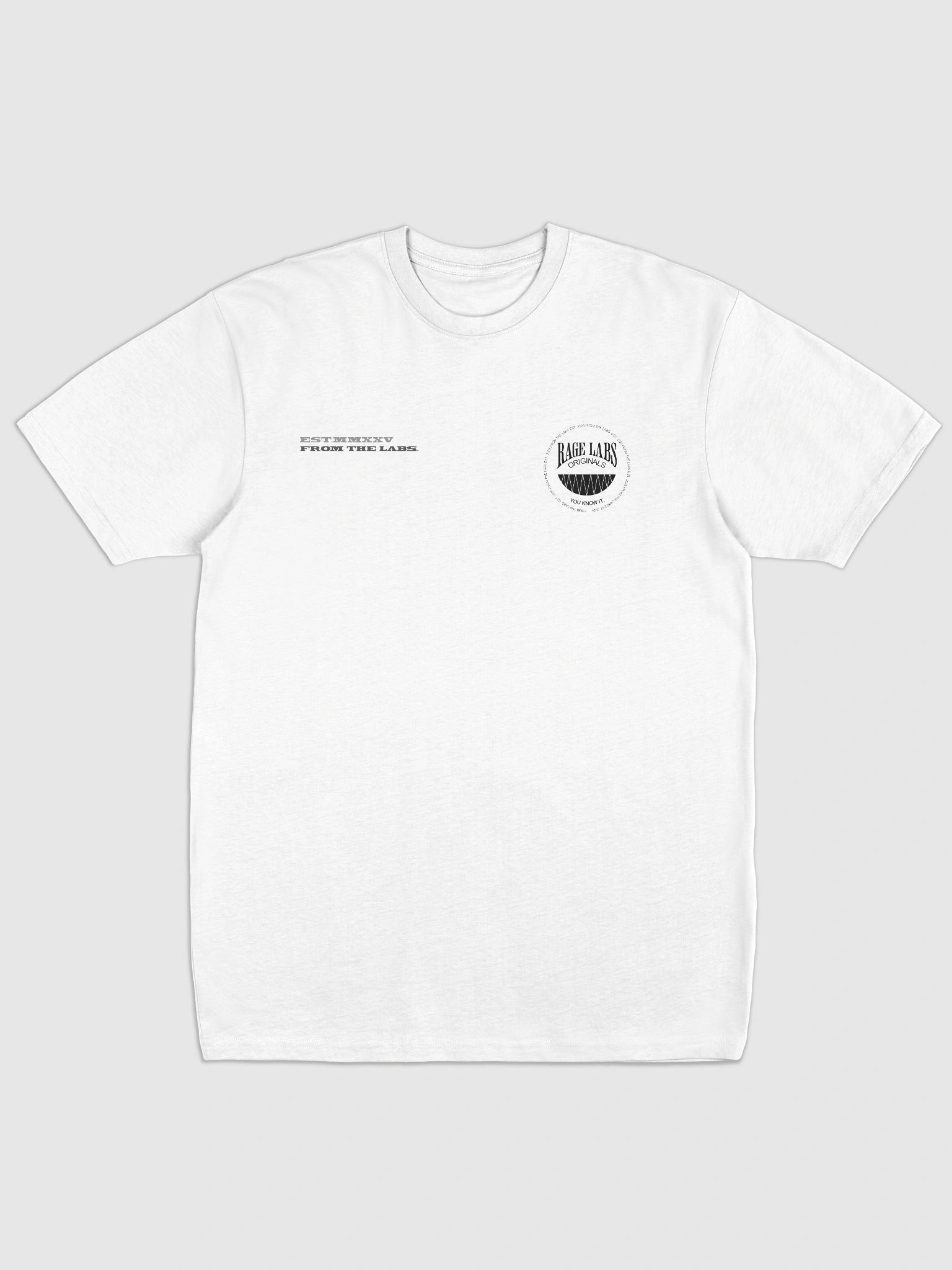OVERSIZED TEE - RAGE LABS product image (1)