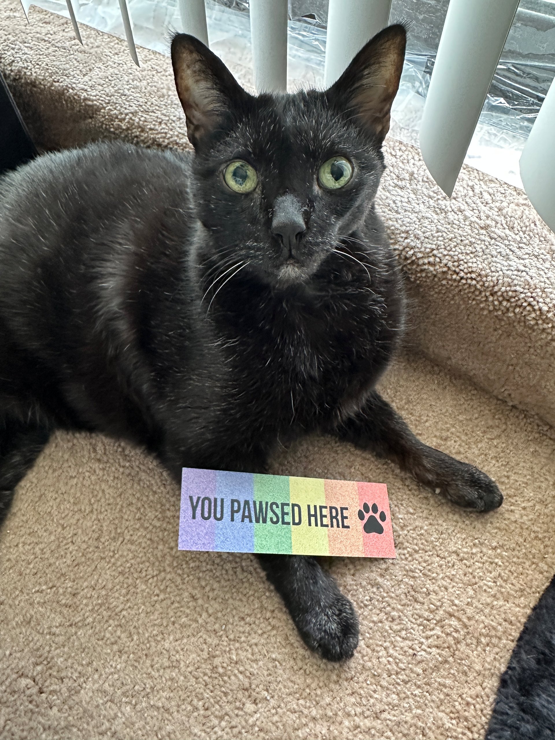 Read Queer Books bookmark product image (3)