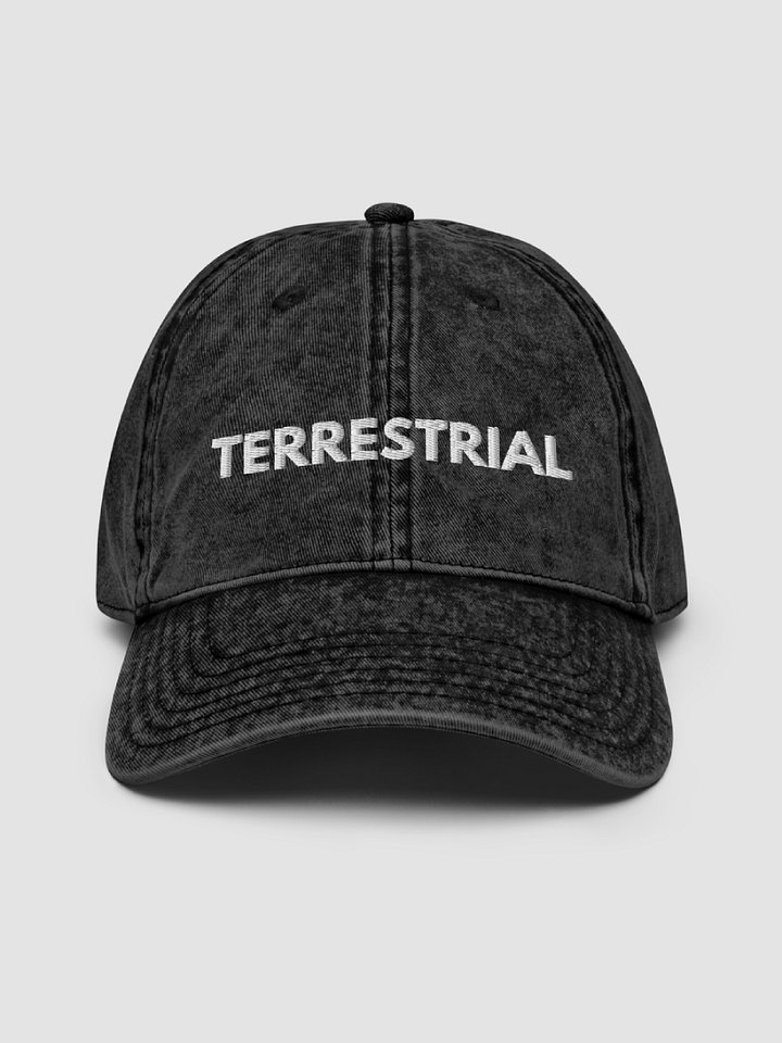 Classic Logo Distressed Hat product image (2)