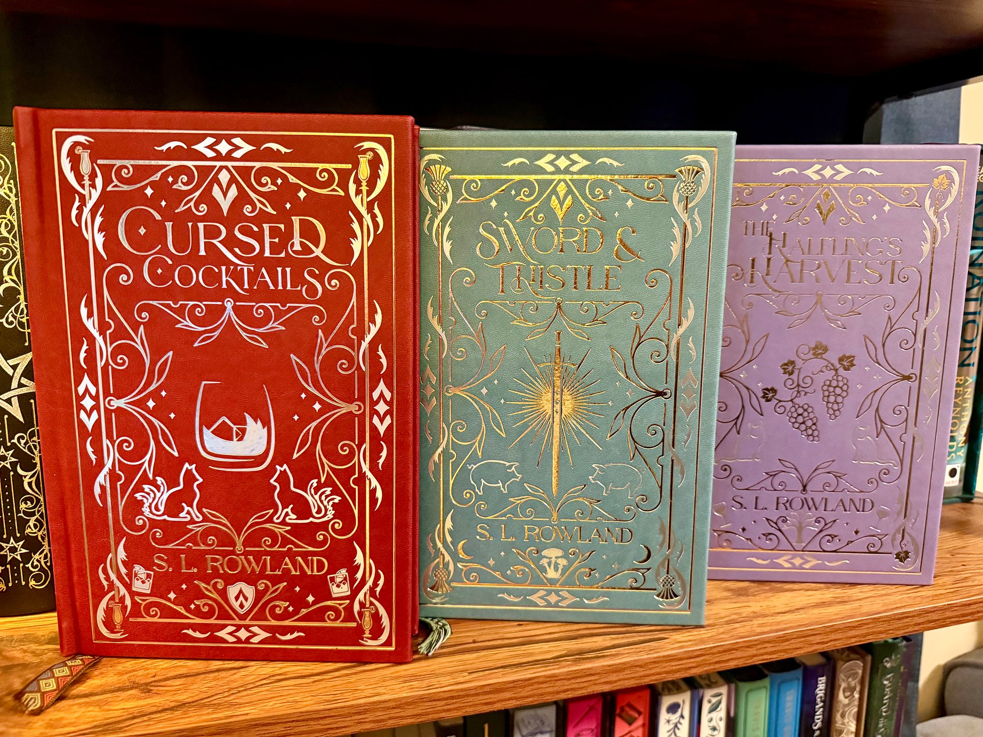 Tales of Aedrea Collector's Edition Bundle product image (5)
