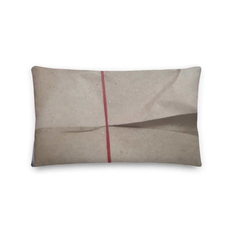 Char Siew Rice Decorative Pillow product image (6)