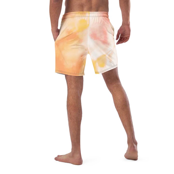 HBS Swim Trunks product image (2)