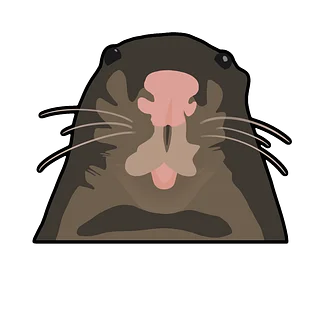 Rat Influencer