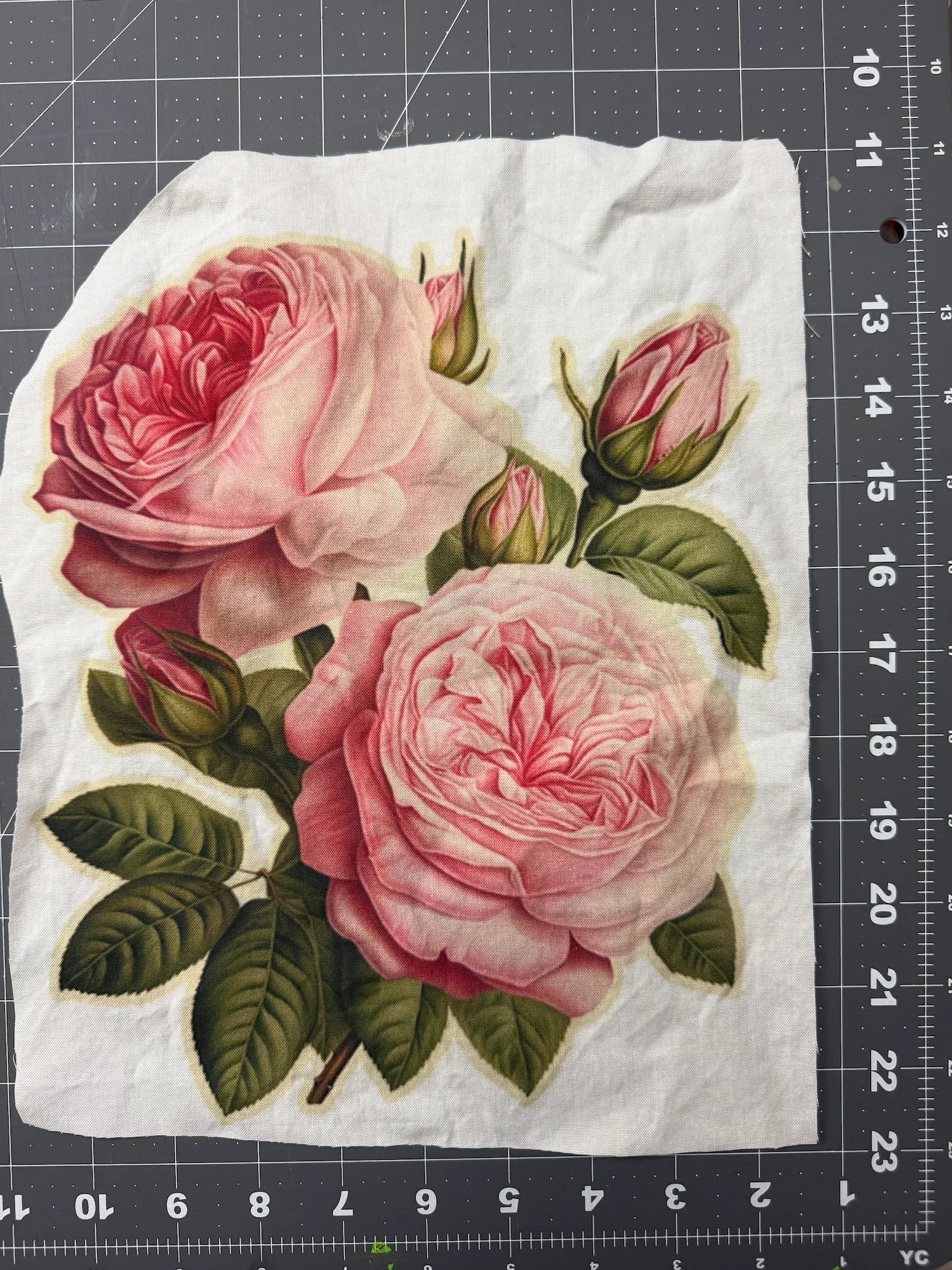 JUMBO ROSES product image (1)