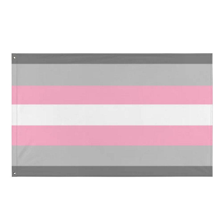 Demigirl Flag product image (1)