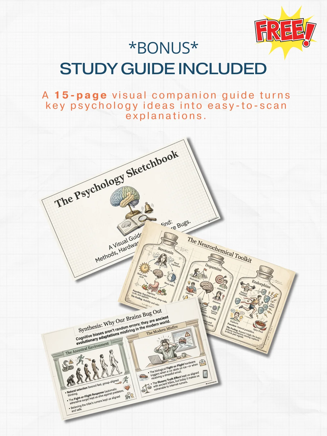 318 Illustrated Psychology Terms: Complete Visual Study Library product image (5)