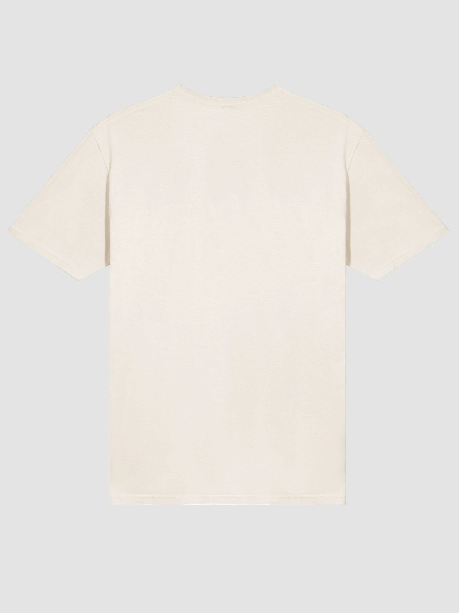 Cactus Haven product image (4)