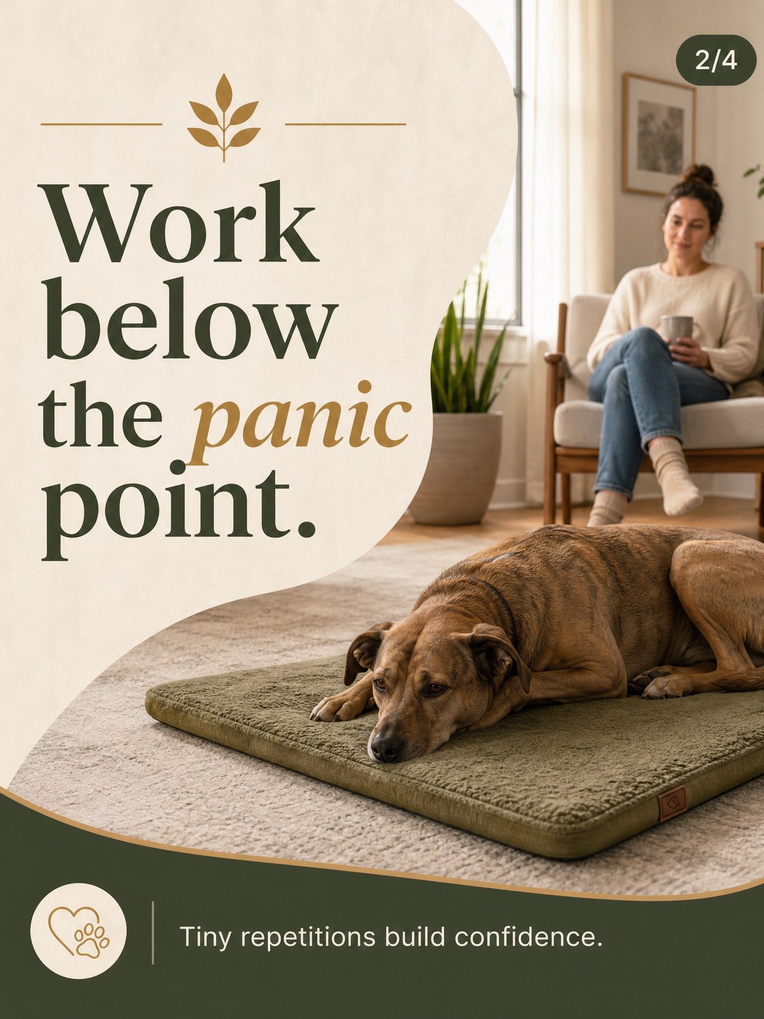 Alone & Unafraid: The 7-Day Blueprint to Ending Separation Anxiety in Your Newly Adopted Dog product image (6)