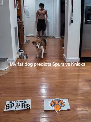 Putting all my money on the spurs 😂 #dog #funny #viral 