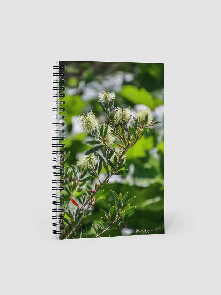 📘 Notebook Collection PURE – Jardin du Rayol – Callistemon pallidus product image (1)