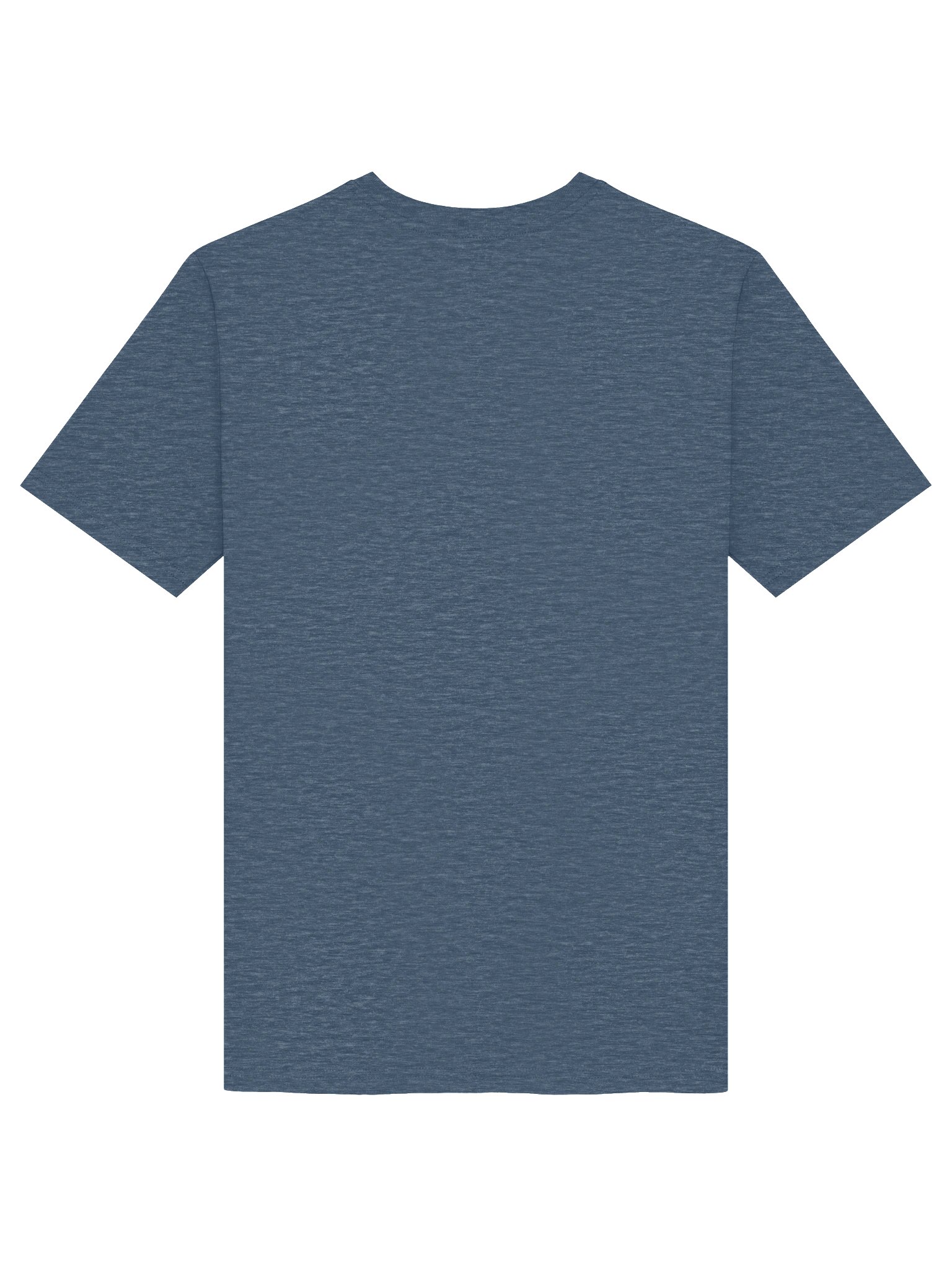 No Kings - Organic Cotton T-Shirt product image (4)