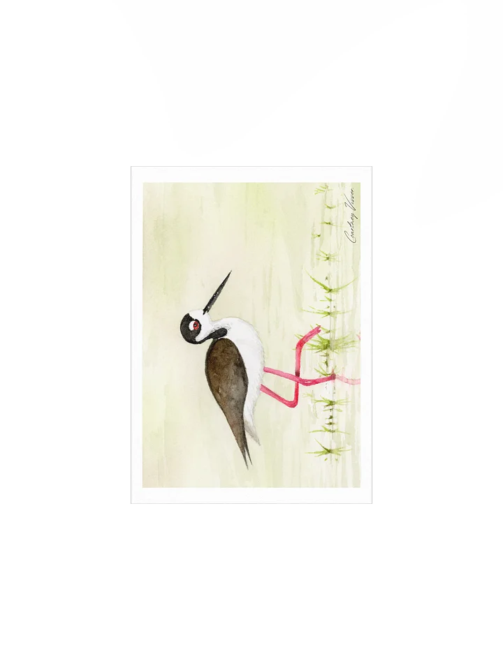 Black-necked stilt print product image (2)