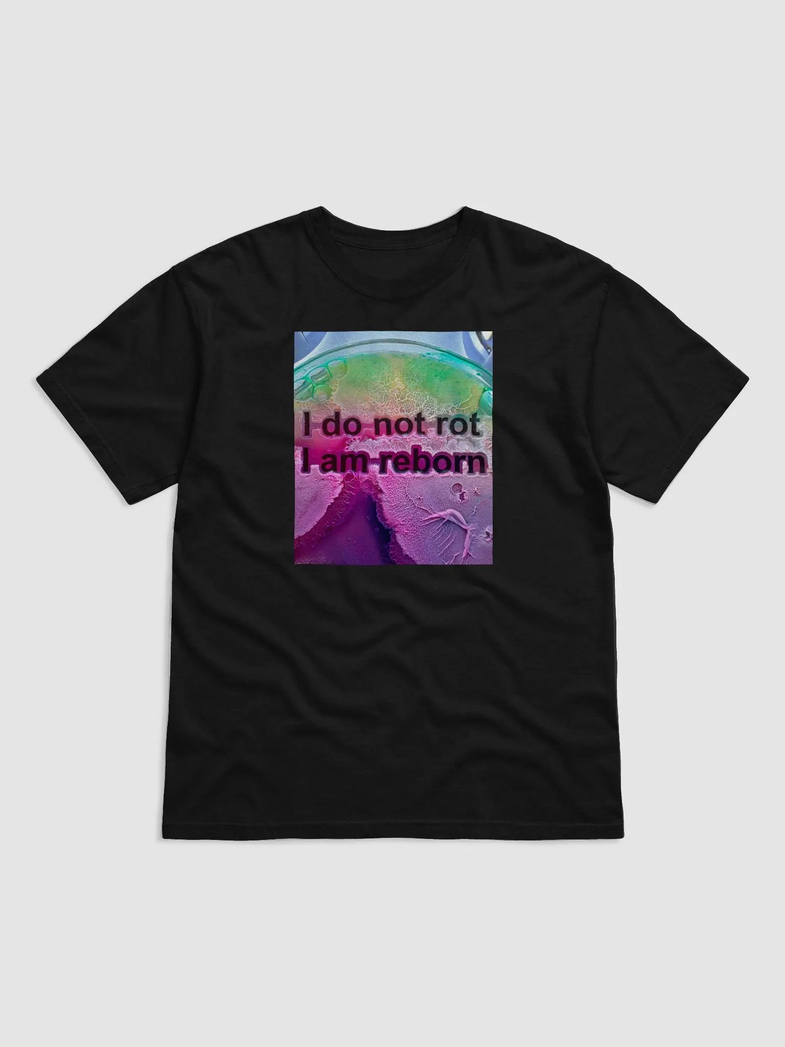 Rot or not product image (1)