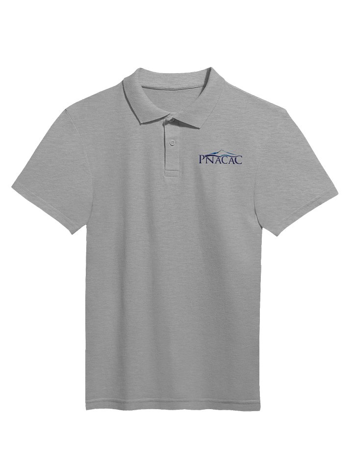 Unisex Polo (Color Embroidered) product image (1)
