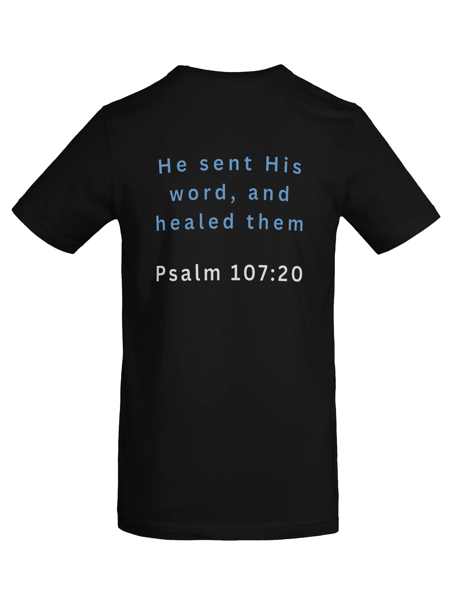 LionHeart FM Radio Tee product image (25)