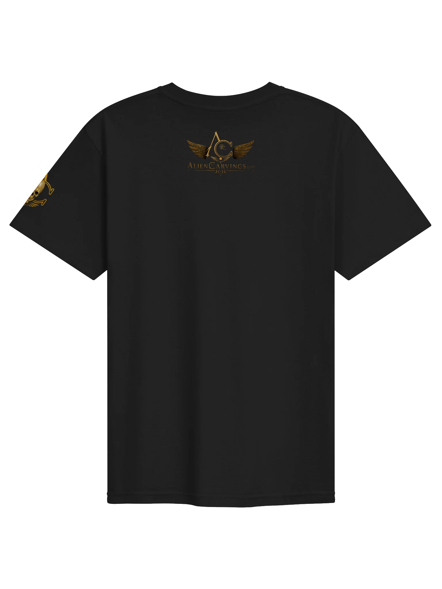 Hall of Records Premium T-Shirt product image (2)