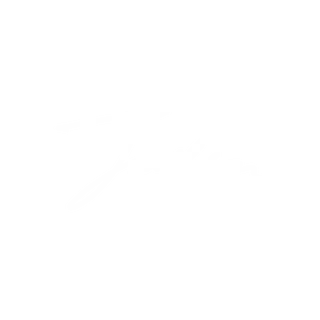 JaelensFries