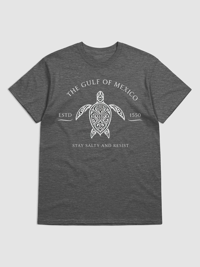 Stay Salty Gulf of Mexico Shirt 