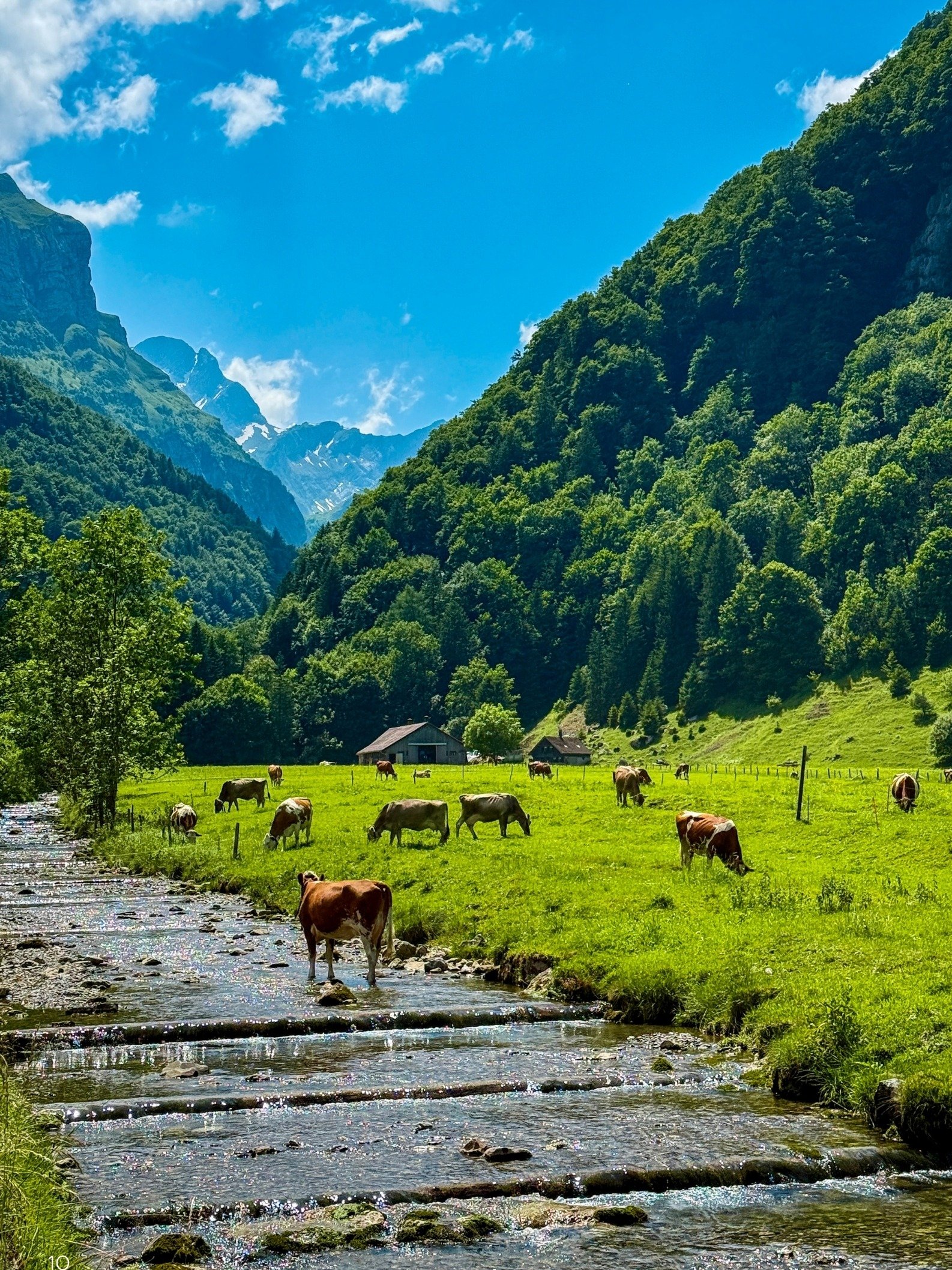 101 Things Nobody Told You About Switzerland Ebook product image (8)