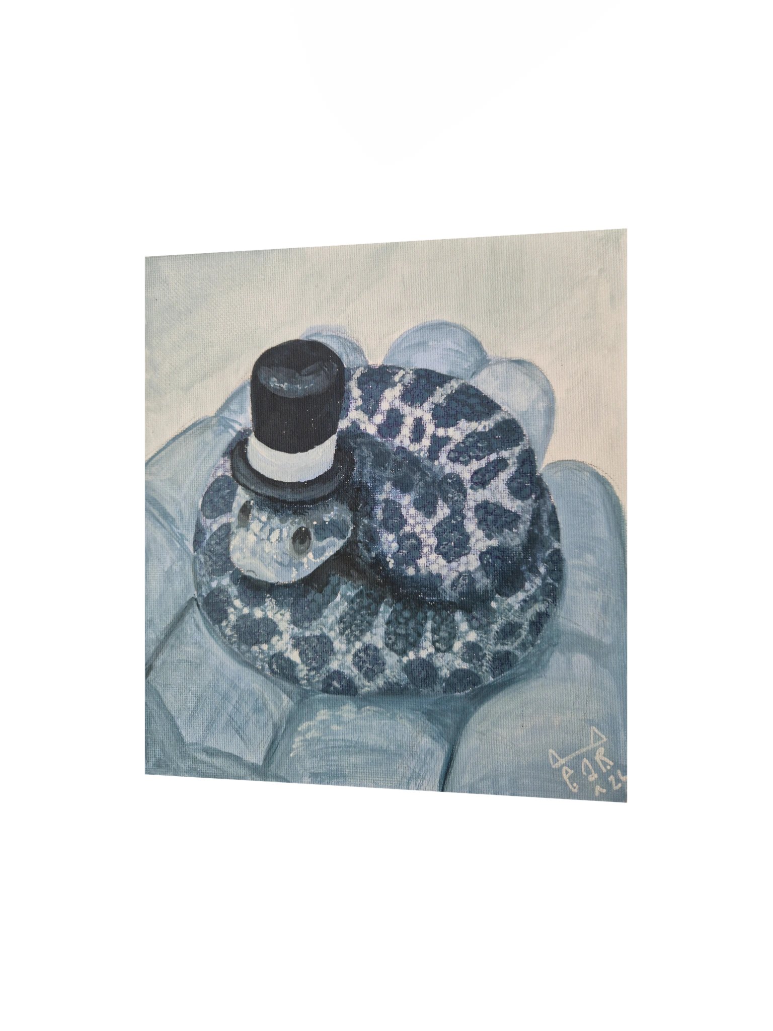 Hat Snake print product image (10)