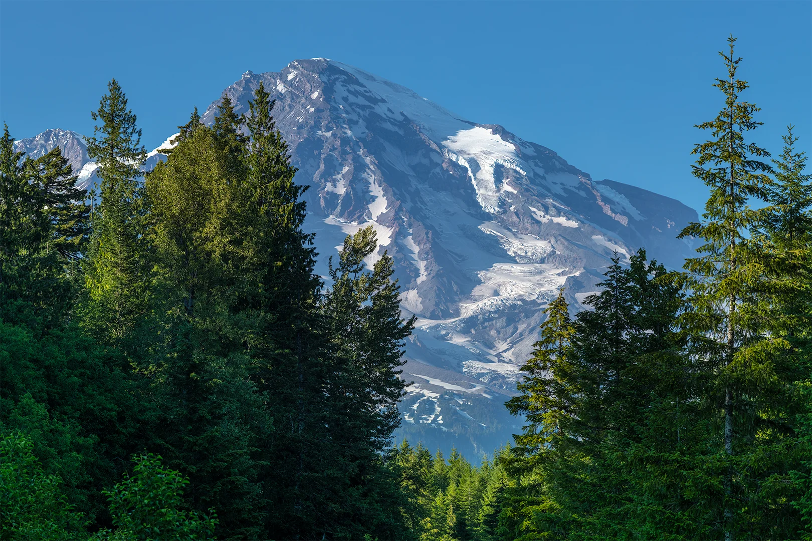Print - Mount Rainier National Park product image (13)