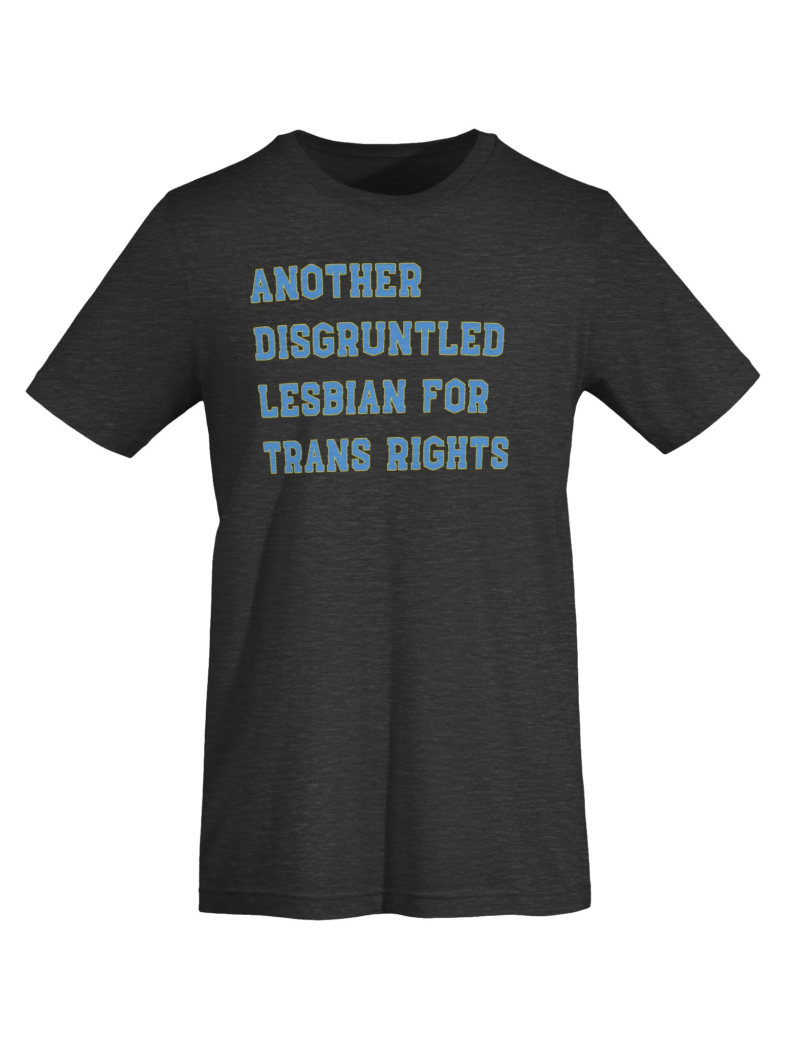 Disgruntled Chicago Lesbian product image (5)