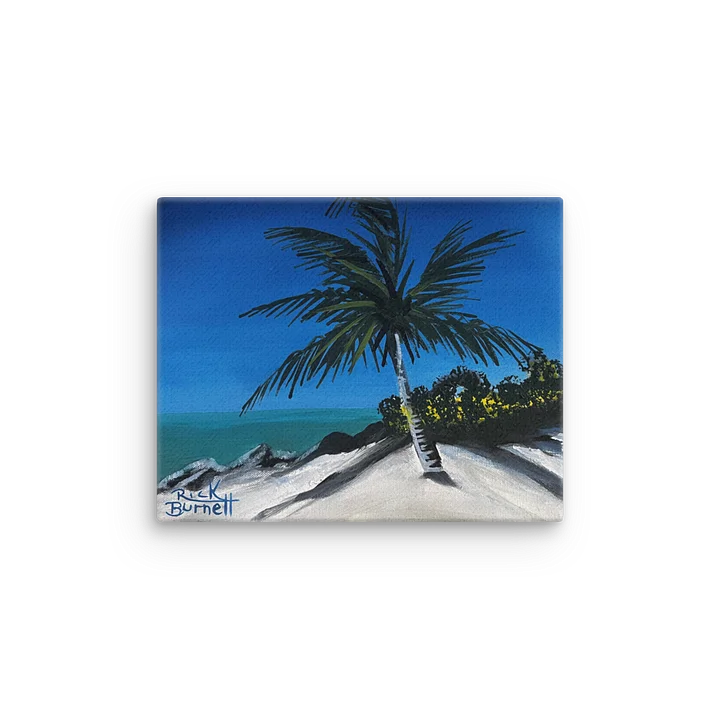 Rick Burnett Fort Zach Beach Thin Canvas Print product image (1)