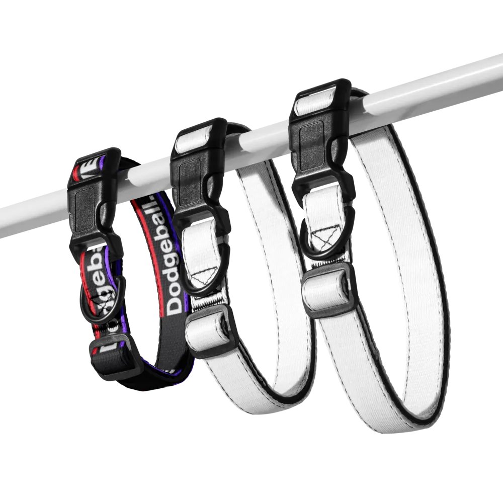 Dodgeball.LIVE Dog Collar product image (7)